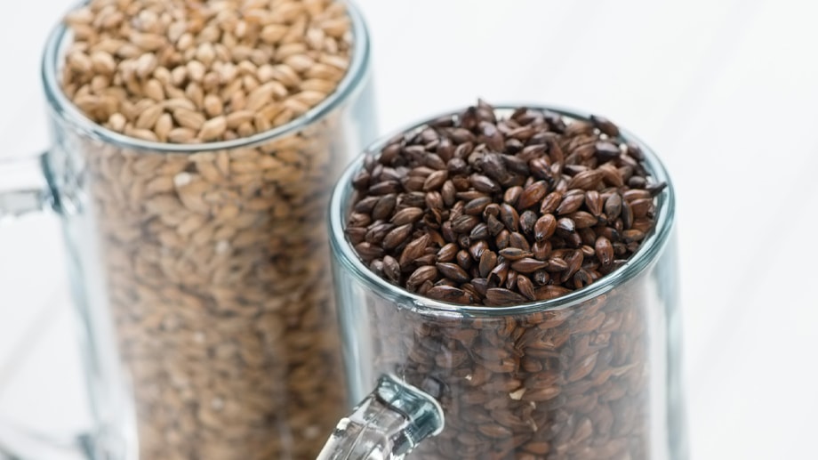 Praxisseminar Technologie der Malzbereitung mit begleitender Mälzung